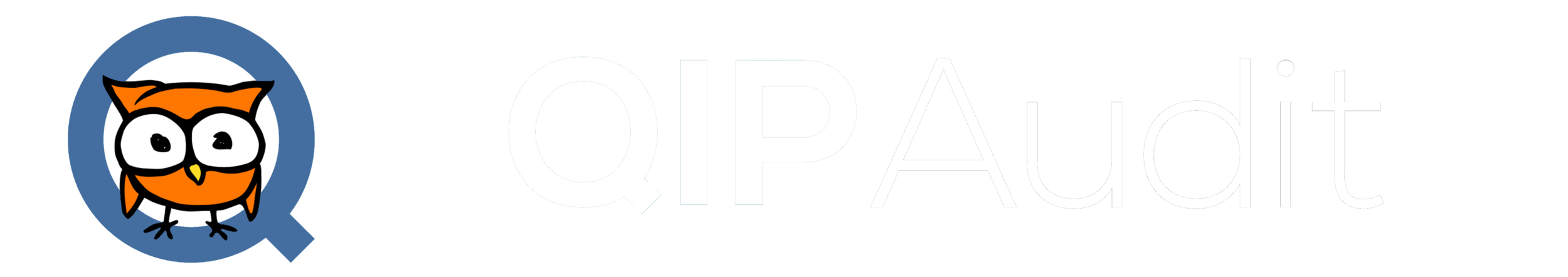 QIPAudit